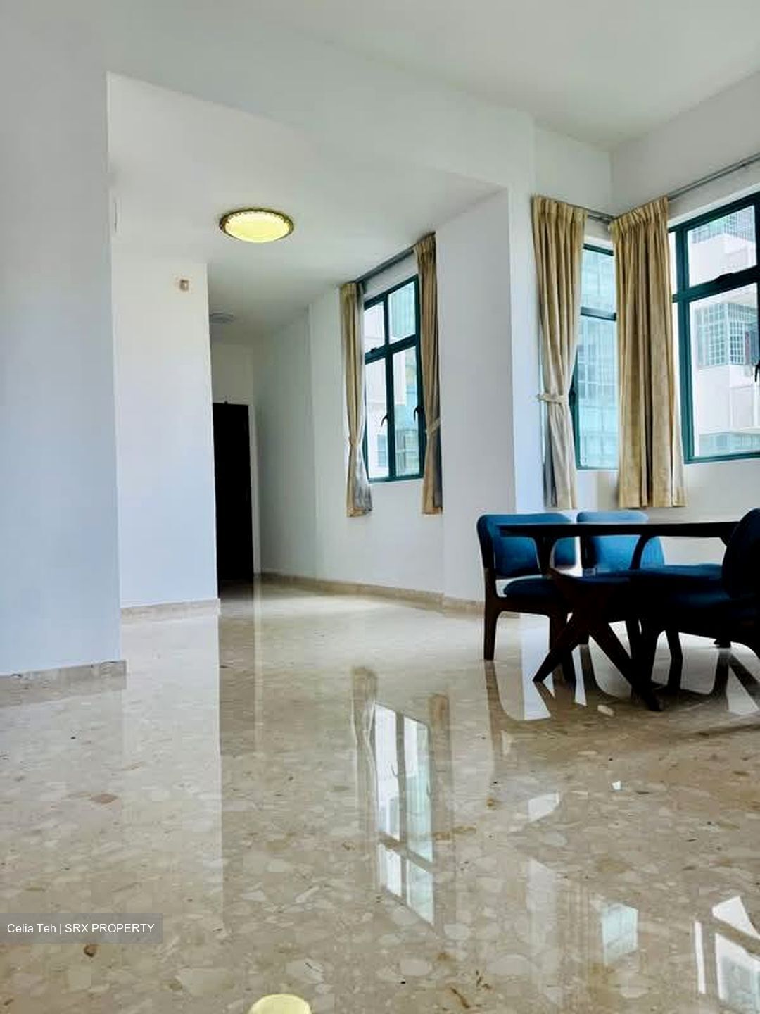 Tanglin Regency (D10), Condominium #567493251